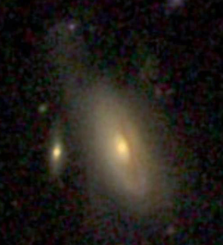 SDSS image of spiral galaxy IC 236