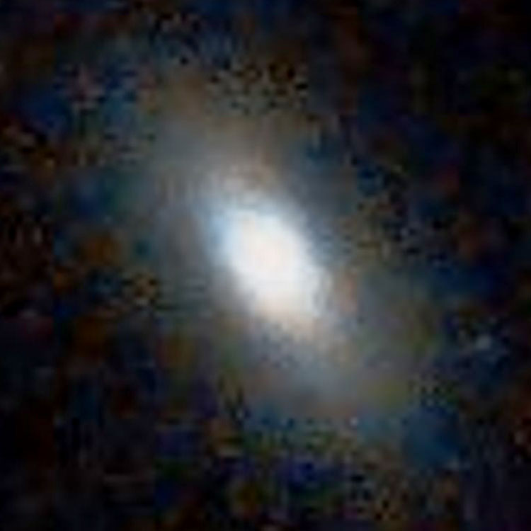 DSS image of lenticular galaxy IC 238
