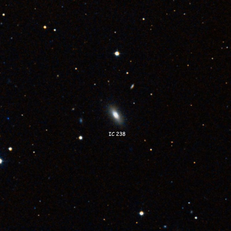DSS image of region near lenticular galaxy IC 238