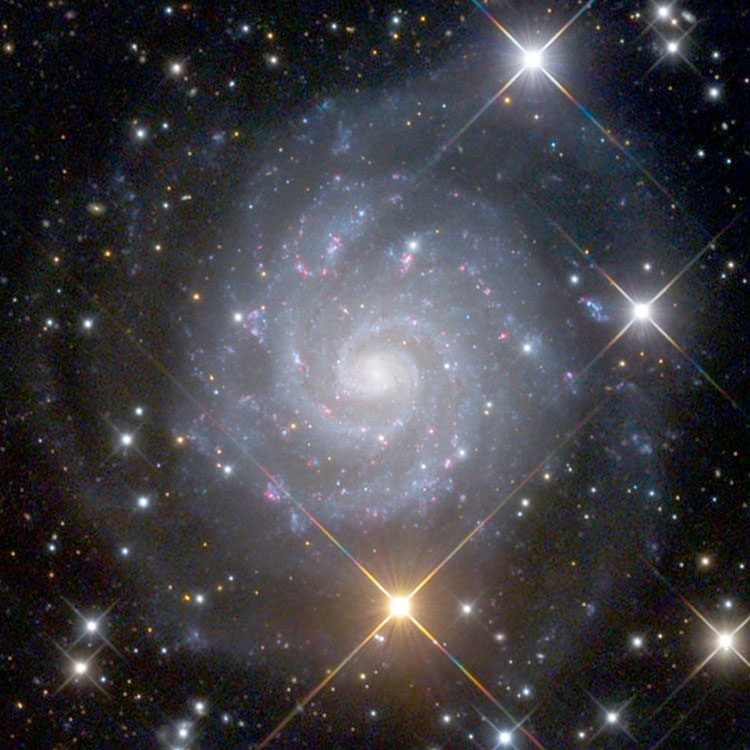 Mount Lemmon SkyCenter image of spiral galaxy IC 239