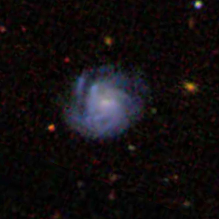 SDSS image of spiral galaxy IC 2418