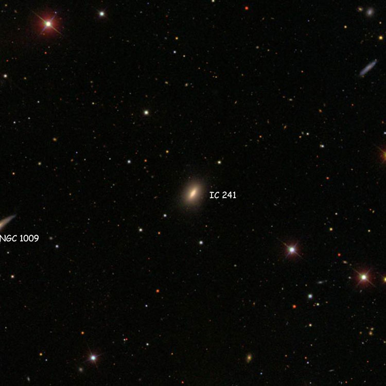 SDSS image of region near lenticular galaxy IC 241, also showing part of NGC 1009