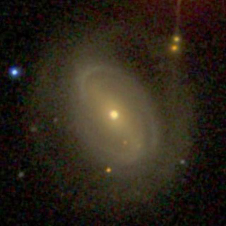 SDSS image of spiral galaxy IC 243
