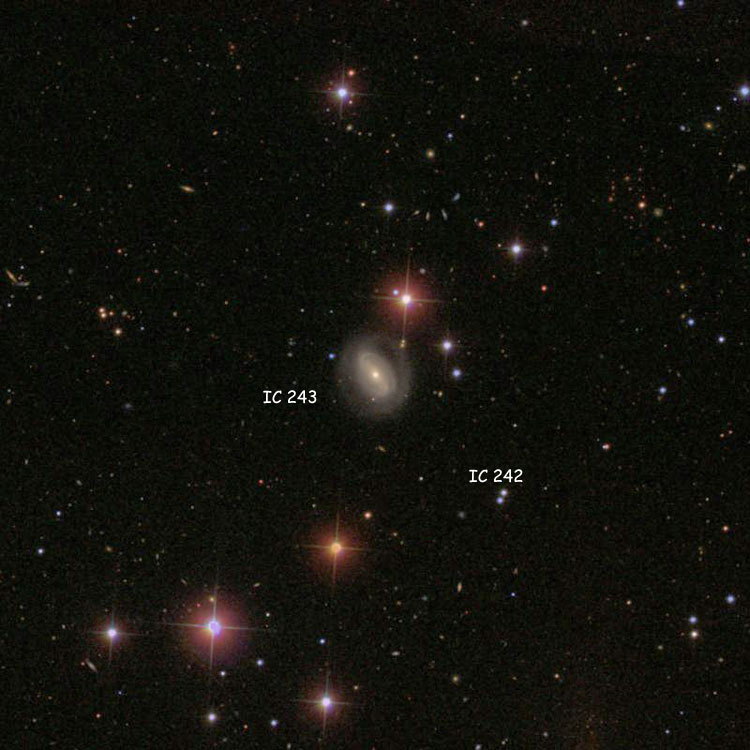 SDSS image of region near spiral galaxy IC 243, also showing a pair of stars, one of which is listed as IC 242