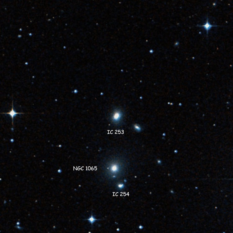 DSS image of region near lenticular galaxy IC 253, also showing NGC 1065 and IC 254