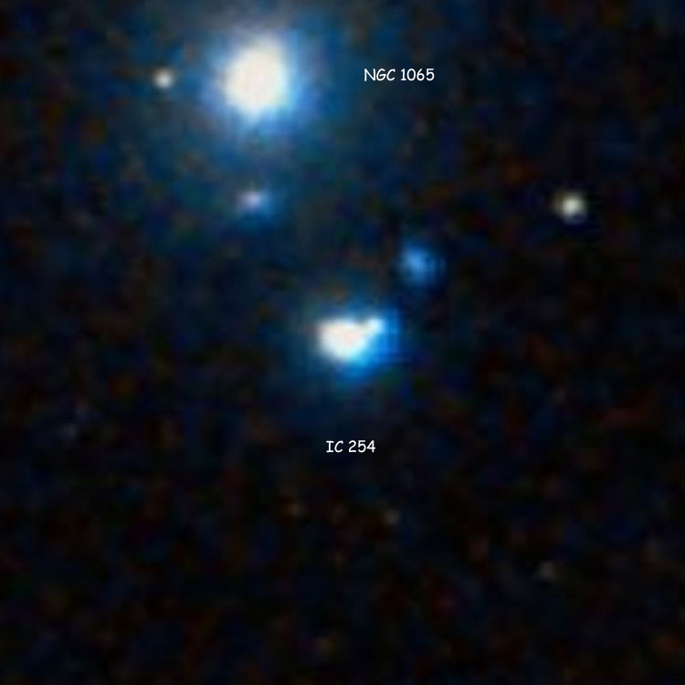 DSS image of lenticular galaxy IC 254, also showing NGC 1065