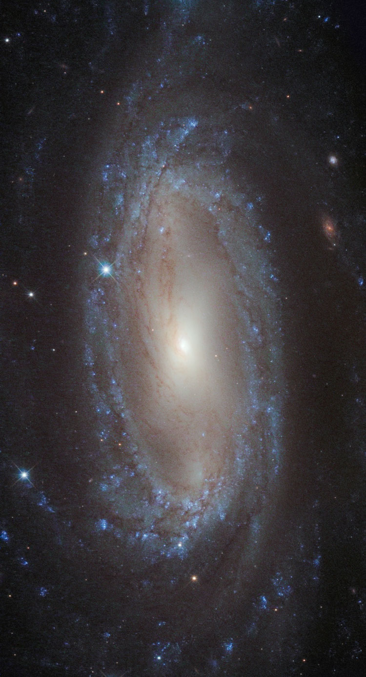 HST image of spiral galaxy IC 2560