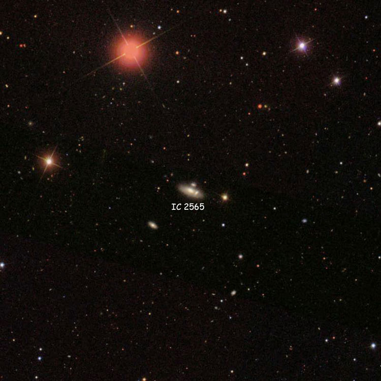 SDSS image of lenticular galaxy IC 2565 and its companions