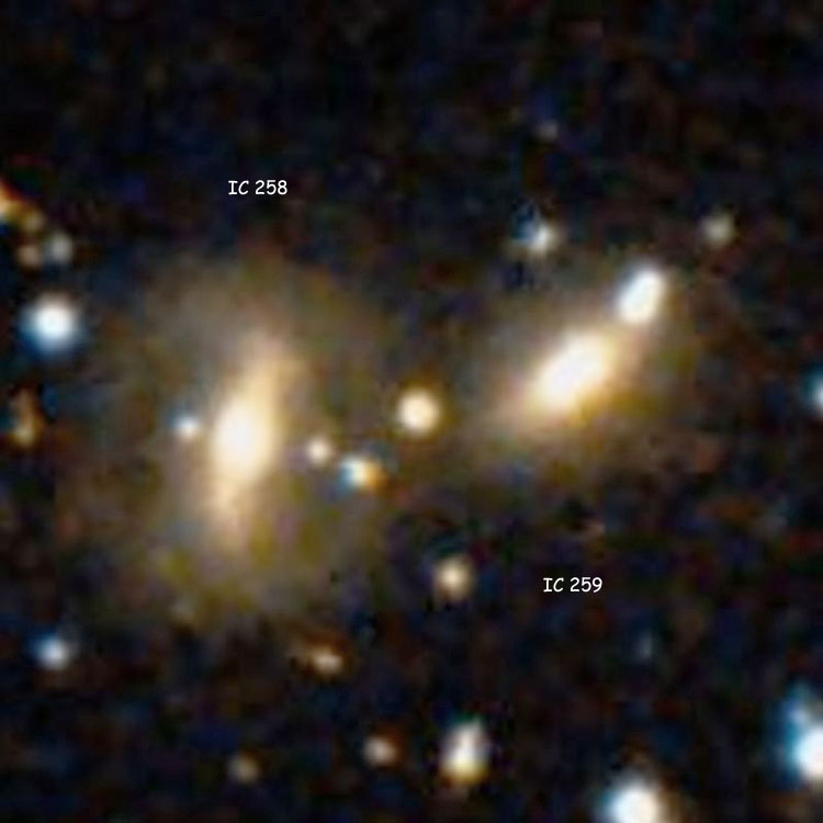 DSS image of spiral galaxy IC 258 and lenticular galaxy IC 259