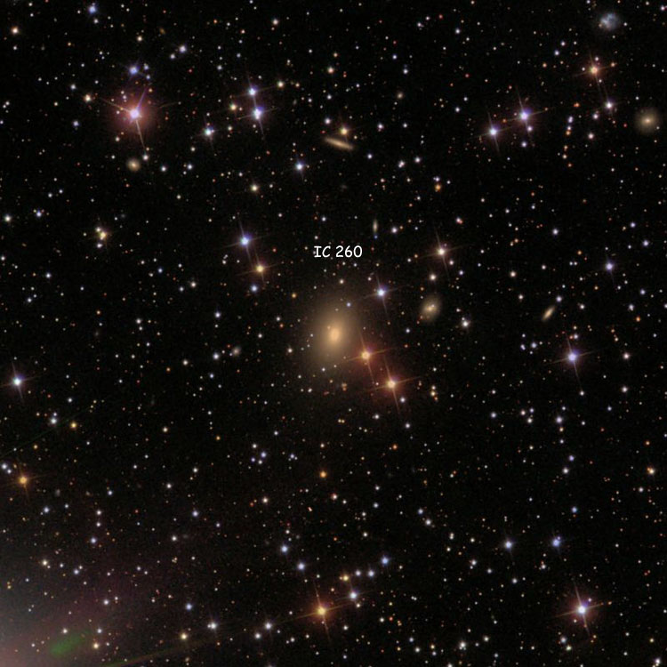 SDSS image of region near elliptical galaxy IC 260