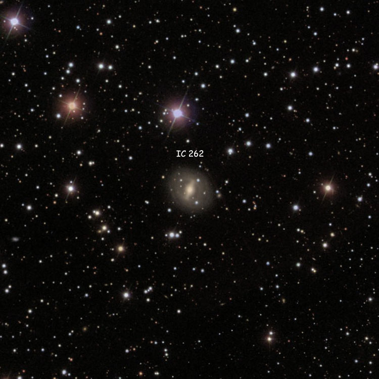 SDSS image of region near lenticular galaxy IC 262=