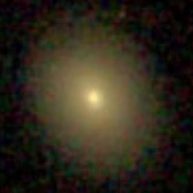 SDSS image of  lenticular galaxy PGC 10644, which is almost certainly IC 264