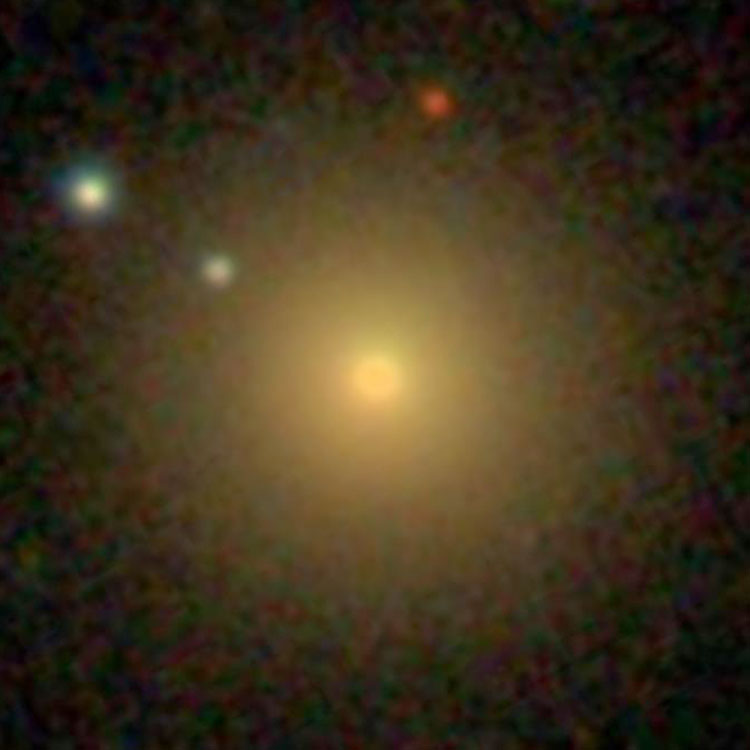 SDSS image of elliptical galaxy IC 265