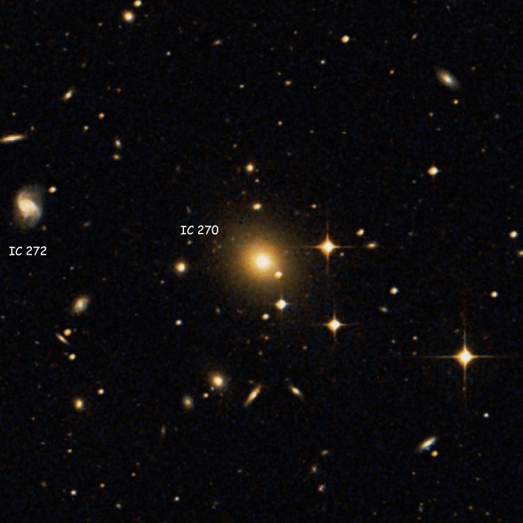 DSS image of region near lenticular galaxy IC 270, also showing IC 272