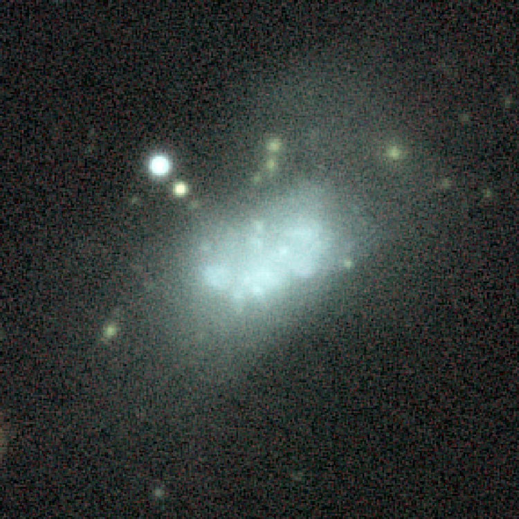 PanSTARRS image of central portion of irregular galaxy IC 271