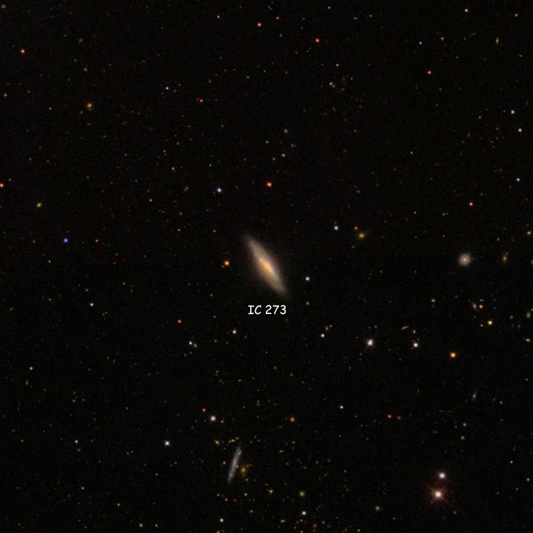 SDSS image of region near spiral galaxy IC 273