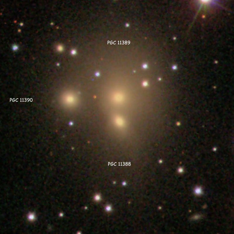 SDSS image of elliptical galaxies PGC 11388, 11389 and 11390, which comprise IC 275