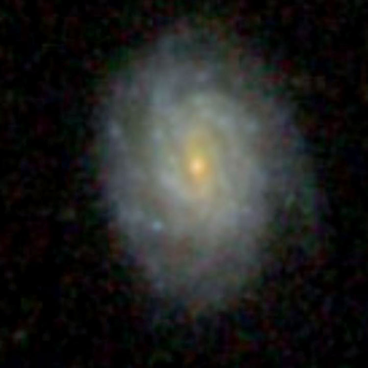 SDSS image of spiral galaxy IC 283