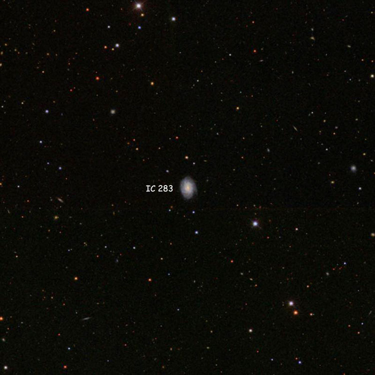 SDSS image of region near spiral galaxy IC 283