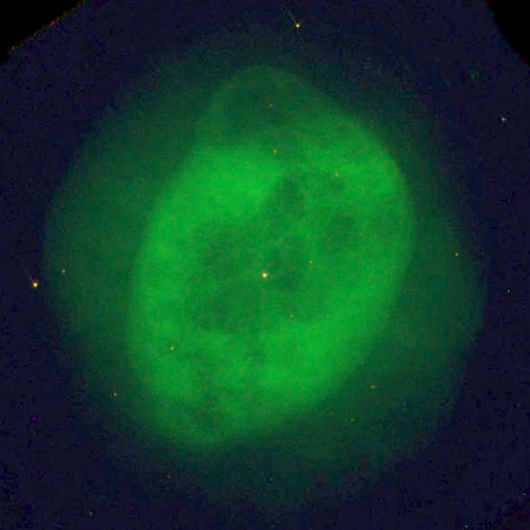 HST detail of planetary nebula IC 289