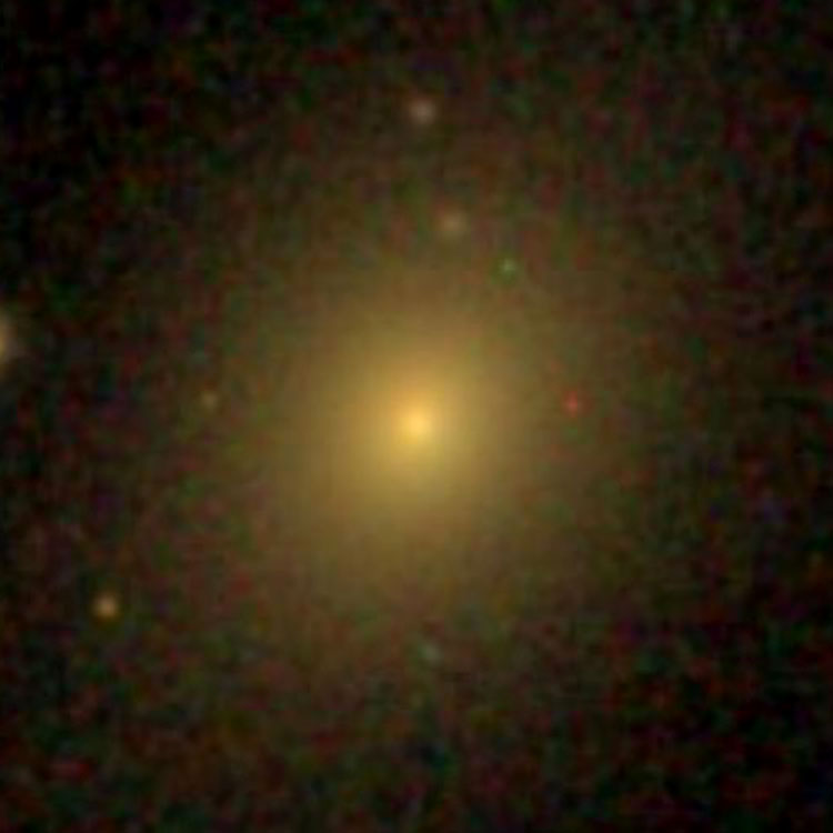 SDSS image of elliptical galaxy IC 29