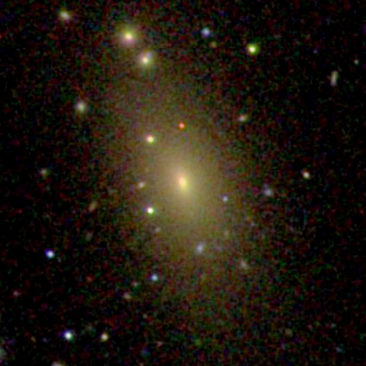 SDSS image of lenticular galaxy IC 30