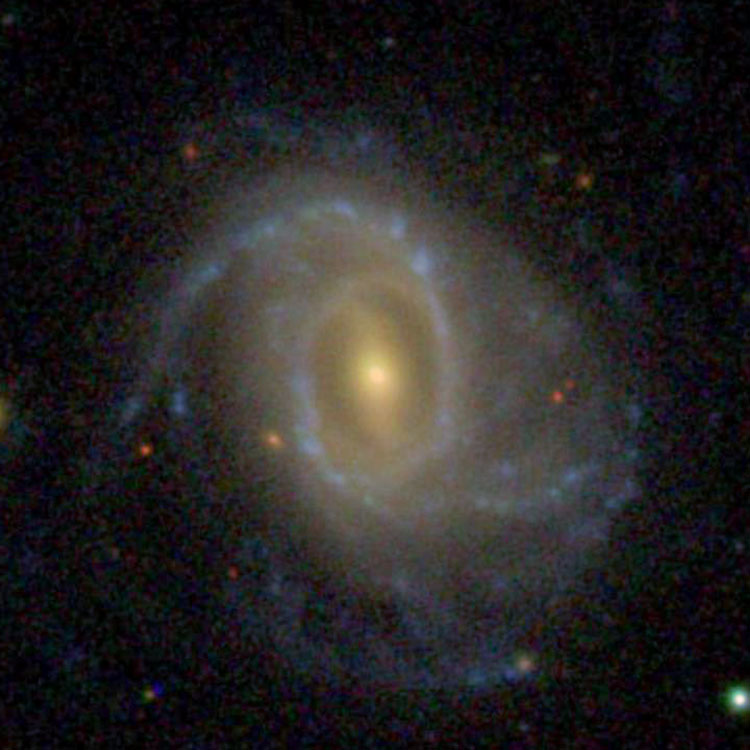 SDSS image of spiral galaxy IC 302