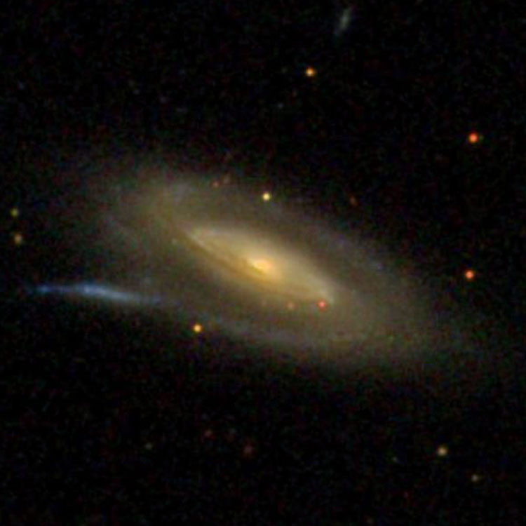 SDSS image of spiral galaxy IC 307