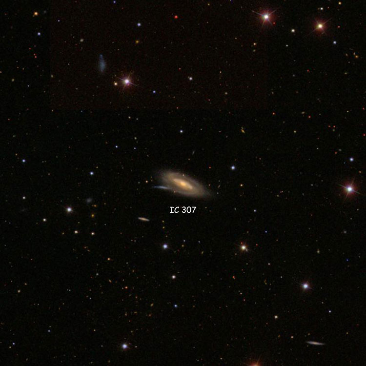 SDSS image of region near spiral galaxy IC 307