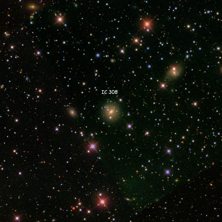 SDSS image of region near lenticular galaxy IC 308