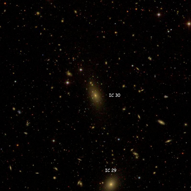 SDSS image of region near lenticular galaxy IC 30