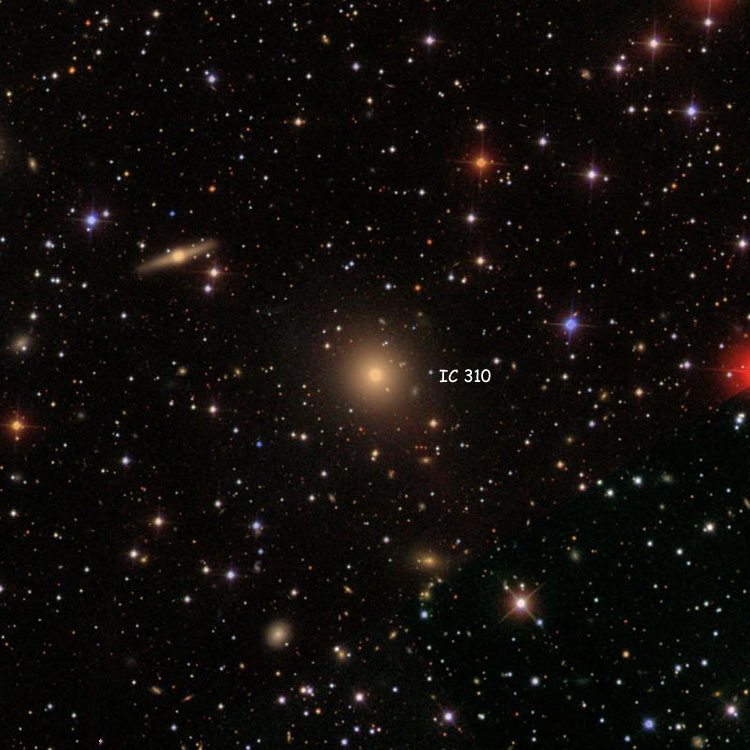 SDSS image of region near lenticular galaxy IC 310