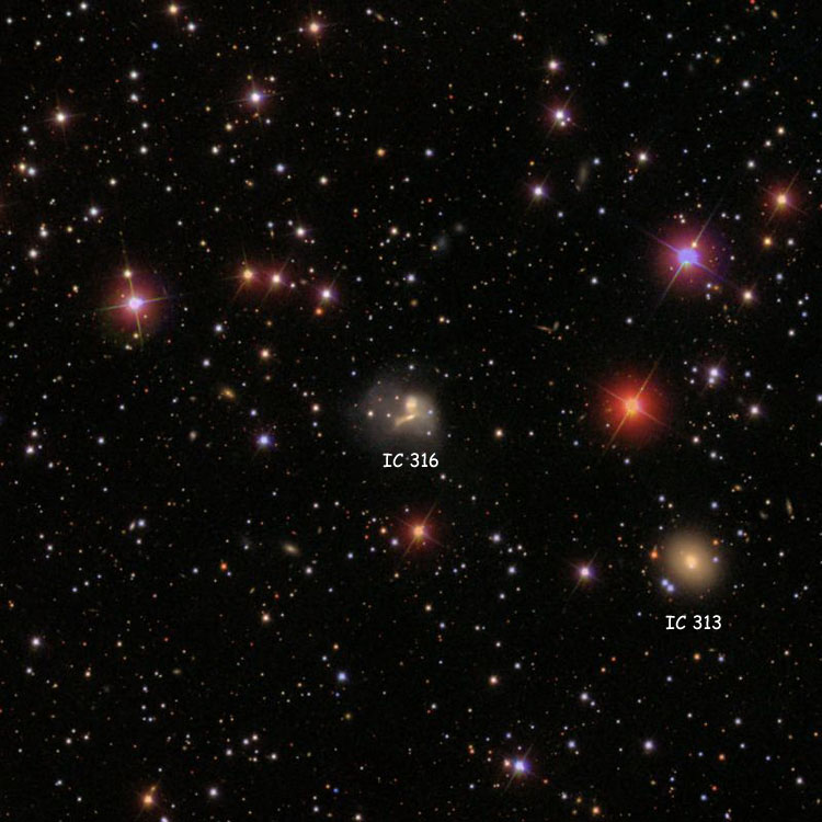 SDSS image of region near the interacting galaxies that comprise IC 316, also showing IC 313