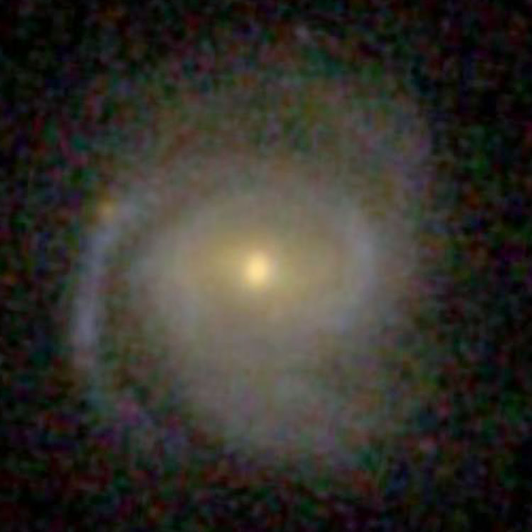 SDSS image of spiral galaxy IC 325