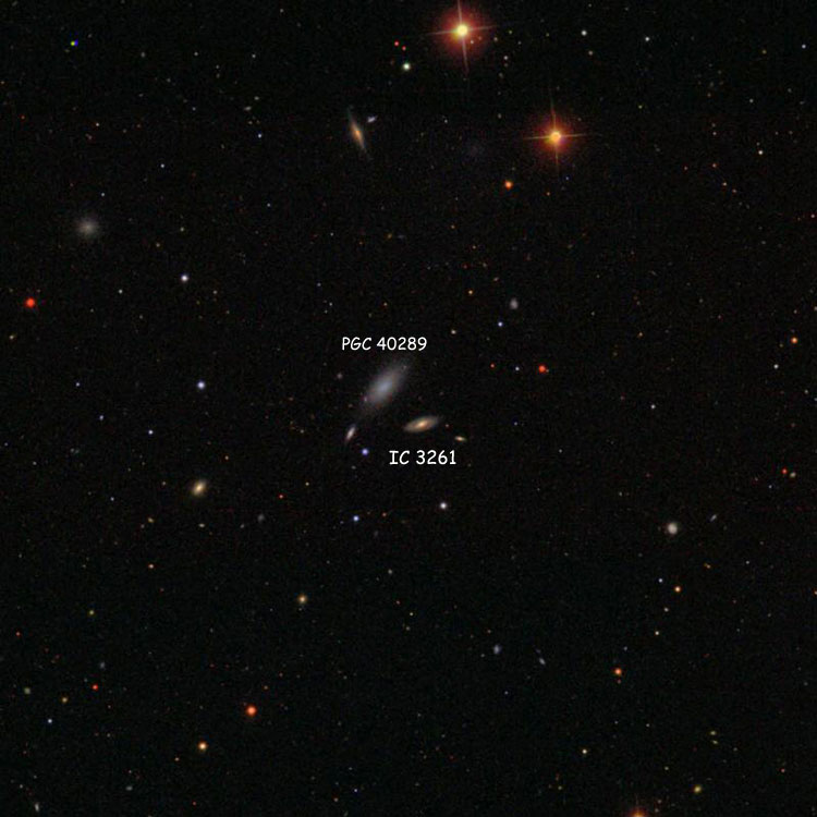 SDSS image of region near spiral galaxy PGC 169197, which is probably IC 3261, and diffuse spiral galaxy PGC 40289, which is sometimes called IC 3261