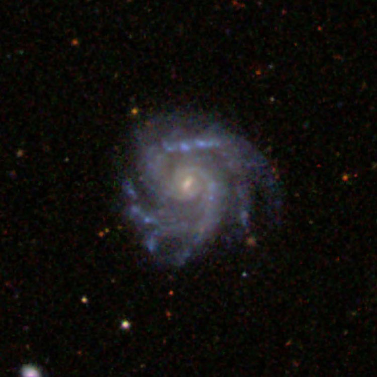 SDSS image of spiral galaxy IC 3271