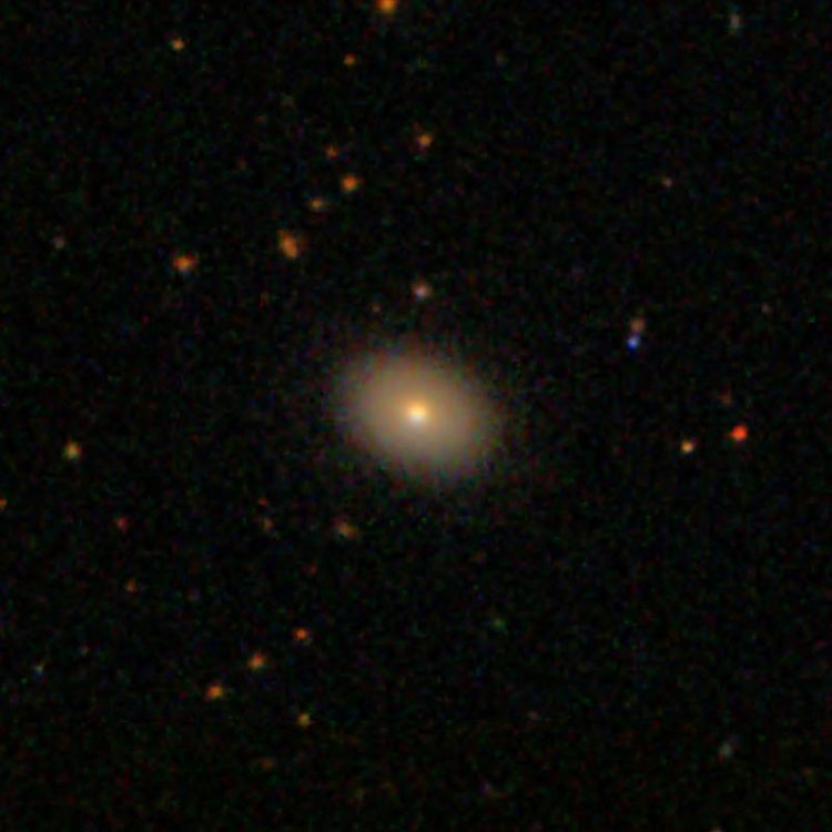 SDSS image of elliptical galaxy IC 3286