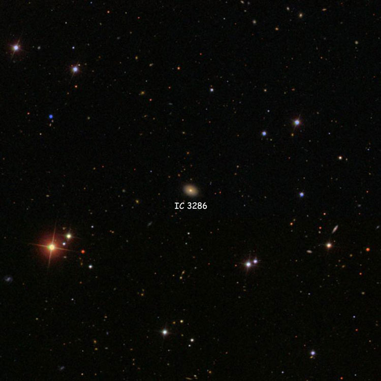SDSS image of region near elliptical galaxy IC 3286