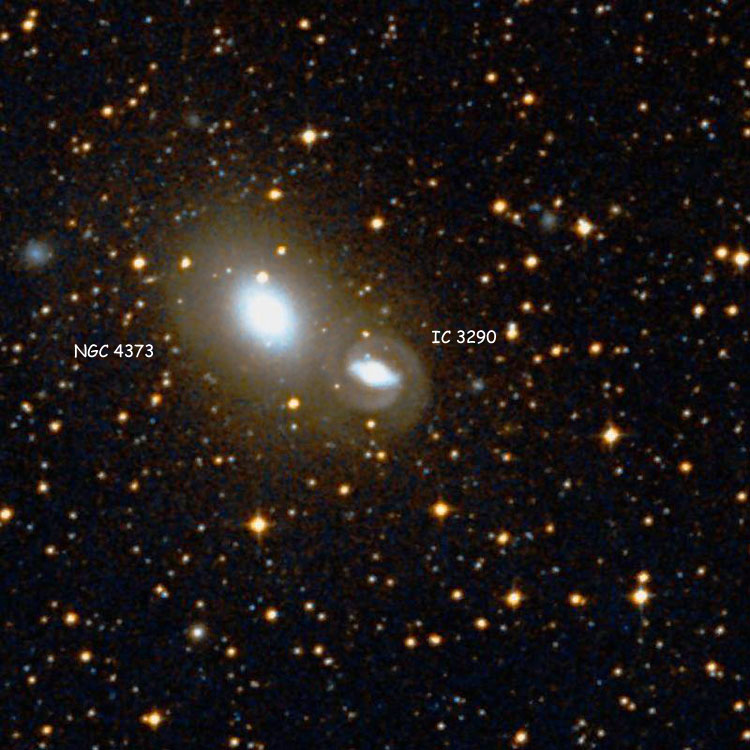 DSS image of region near spiral galaxy IC 3290, also showing lenticular galaxy NGC 4373