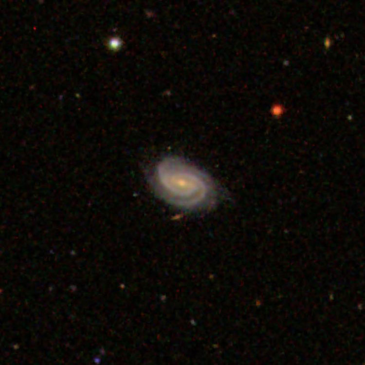 SDSS image of spiral galaxy IC 3293