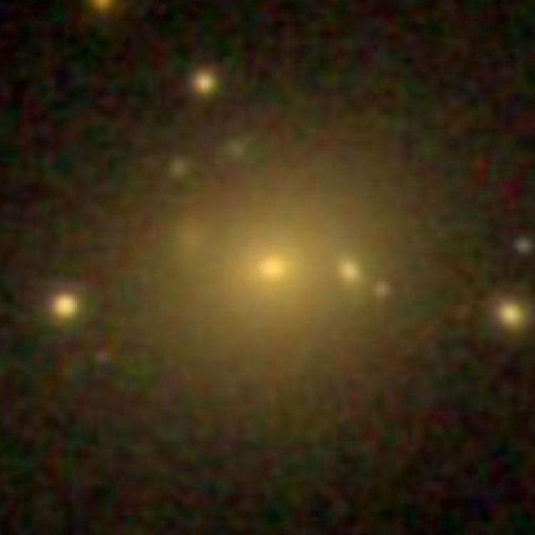 SDSS image of lenticular galaxy IC 33
