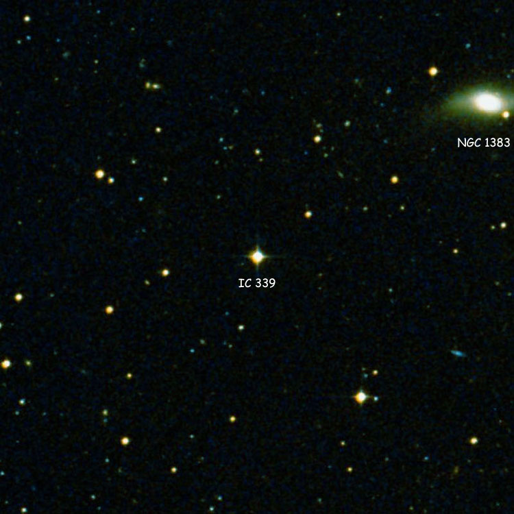 DSS image of region near the star listed as IC 339, also showing NGC 1383