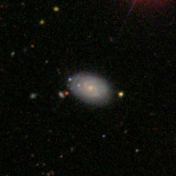 SDSS image of spiral galaxy IC 3406