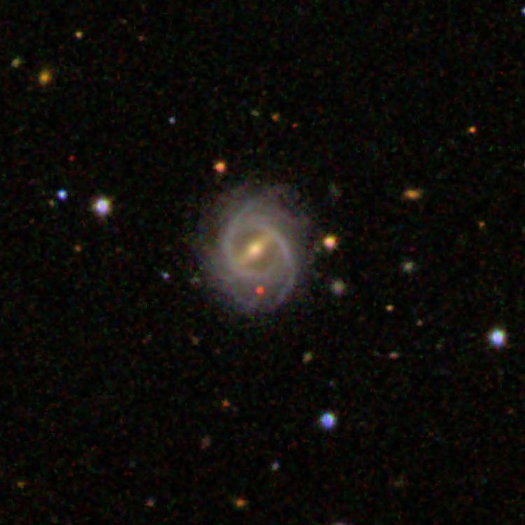 SDSS image of spiral galaxy IC 3409