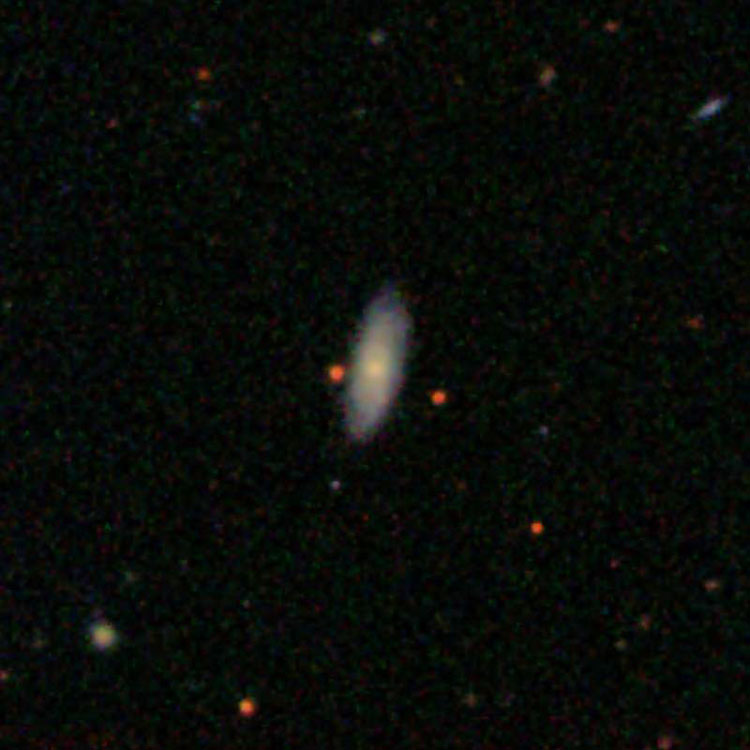 SDSS image of spiral galaxy IC 3411