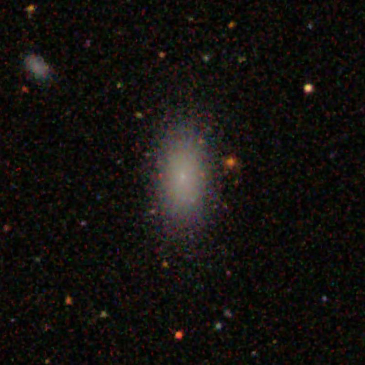 SDSS image of elliptical galaxy IC 3419