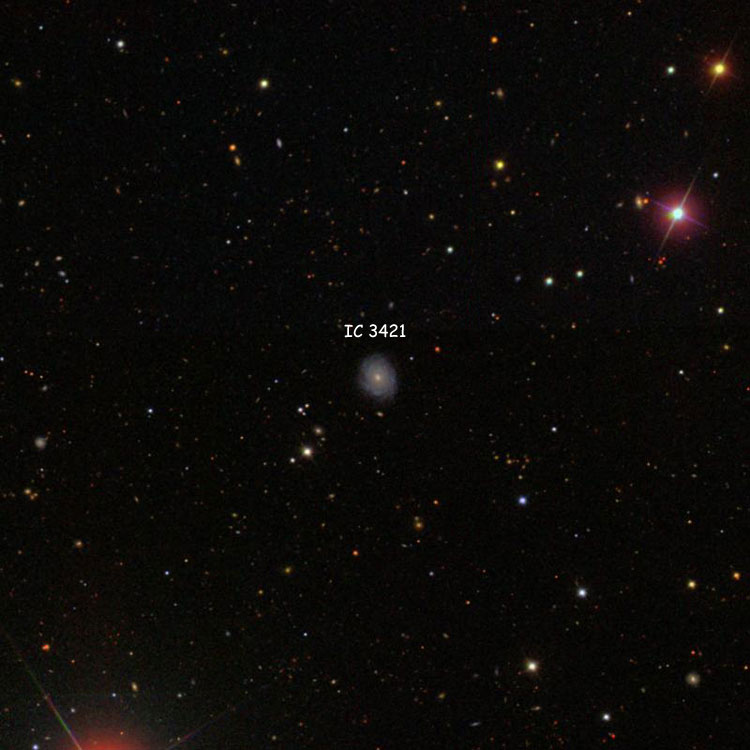 SDSS image of region near spiral galaxy IC 3421