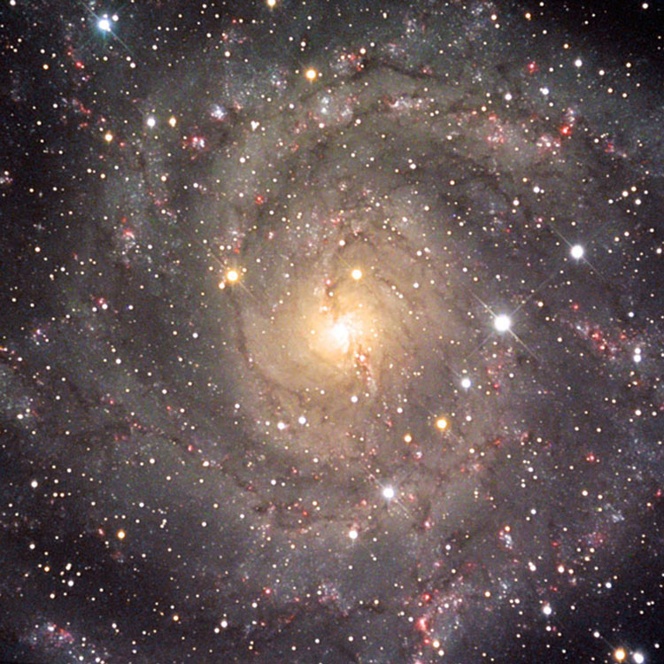 NOAO closeup of spiral galaxy IC 342