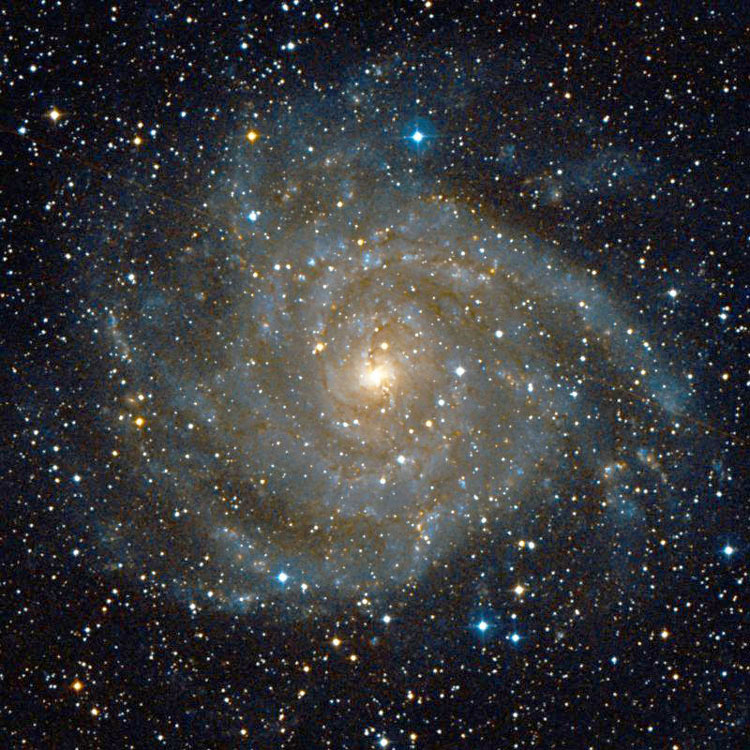 DSS image of region near spiral galaxy IC 342