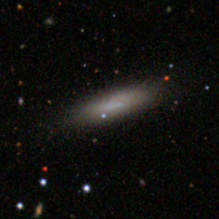 SDSS image of irregular galaxy IC 3430